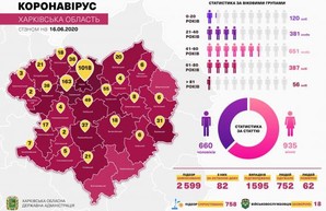 За последние сутки в области подтверждено 53 случая заболевания COVID-19
