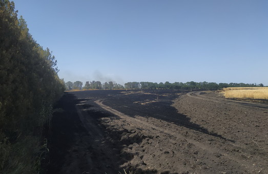 Под Харьковом сгорело еще одно фермерское поле пшеницы (ФОТО)
