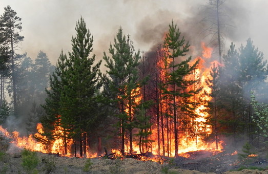 В случае лесных пожаров на Харьковщине спасателям будут помогать волонтеры