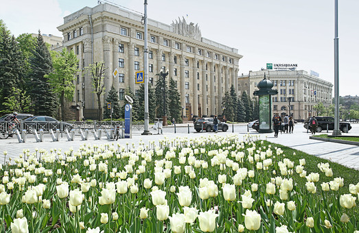 С начала года жители Харьковщины получили 30 миллионов гривен материальной помощи – Чернов