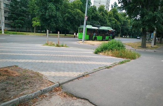 Харьковские коммунальщики косят «под ноль» все, кроме амброзии (ФОТО)