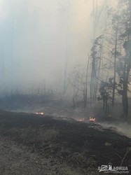 С эпицентра пожара в Двуречанском районе эвакуированы более 50 человек – Кучер