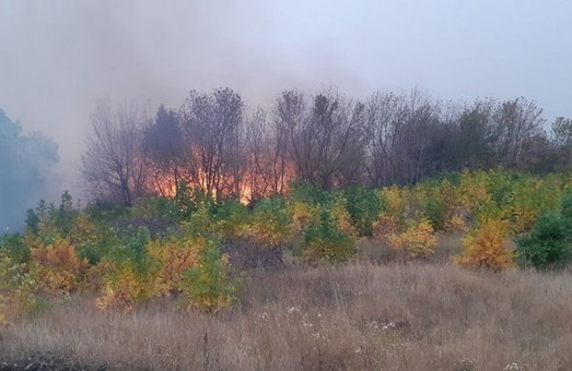 Под Харьковом спасатели ликвидировали масштабные пожары (ФОТО)