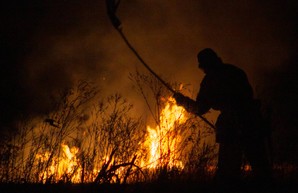 Кучер призвал привлечь к ответственности всех виновных в умышленных поджогах сухостоя