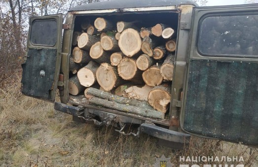 На Харьковщине полицейские поймали очередного «черного лесоруба» (ФОТО)