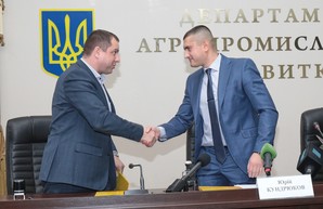 На Харьковщине стартует земельная реформа: первые семь громад уже получили землю