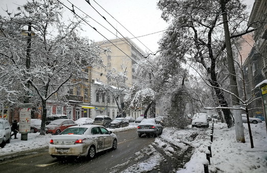 В Одессе показали последствия разбушевавшейся стихии: город завален буреломом (ВИДЕО)
