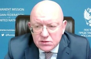 Постпред РФ в Совбезе ООН заявил, что «Украина оккупировала Украину»