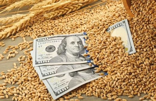 Махинации с экспортом зерна: Украина ежегодно теряет 2 миллиарда долларов