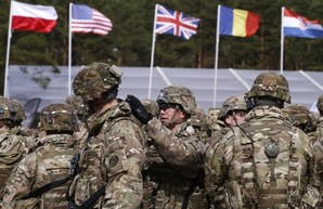 США может предложить Украине альтернативу членству в НАТО — Тейлор
