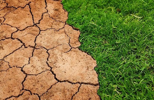 Экологи прогнозируют в Украине рекордно засушливое лето