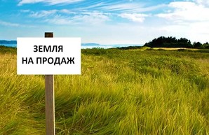 Названы стоимости гектара земли в разных регионах Украины