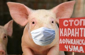 Свинина из Евросоюза в Украине теперь под запретом