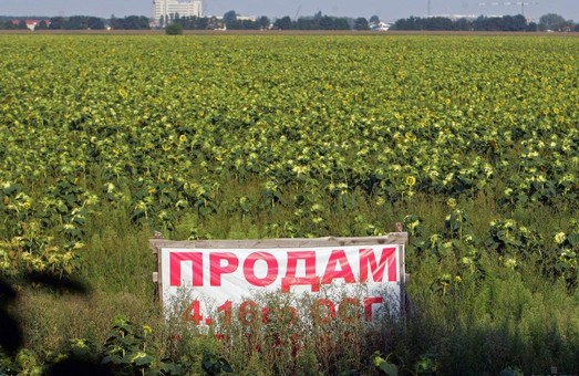 В Украине стартовала продажа сельскохозяйственной земли