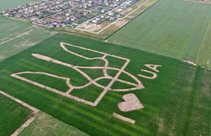 На поле под Киевом высадили гигантский герб Украины