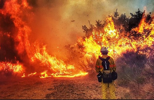 Юг Европы охватили масштабные лесные пожары