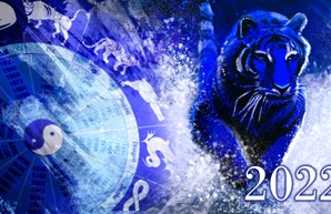 Год Черного Водяного Тигра: рекомендации астрологов, как правильно встретить 2022-ой