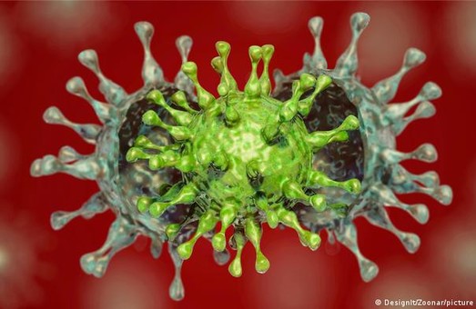 Статистика коронавируса на 24 ноября: количество заболевших продолжает расти, за сутки – 14 325 человек