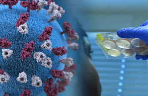 Разработчики AstraZeneca рассказали, стоит ли бояться «Омикрона»