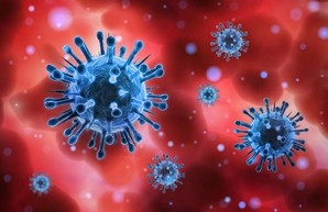 Статистика по COVID-19 на 14 декабря: за сутки заболели коронавирусом свыше 7 тысяч человек