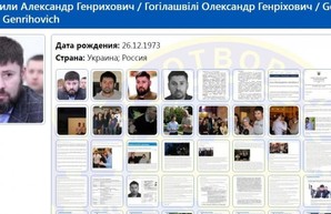 Кто следующий: Гогилашвили внесли в базу «Миротворца»