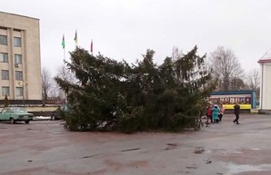 В Житомирской области внезапно сломалась главная елка и оставила людей без интернета