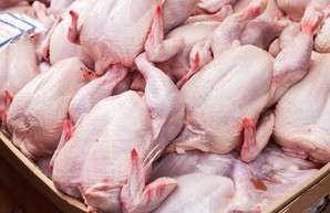 В Украину снова попала «опасная» курятина из Польши