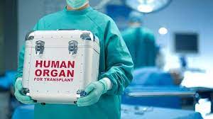 В Украине усовершенствовали закон о трансплантации органов