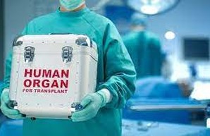 В Украине усовершенствовали закон о трансплантации органов