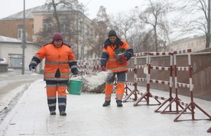 «Серебряная дорога»: киевские педагоги решили посыпать дороги смесью за 200 тысяч