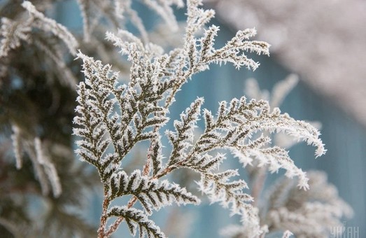 Погода в Украине на Новый год: ударят  морозы
