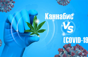 Ученые заявили о пользе каннабиса в борьбе с COVID-19