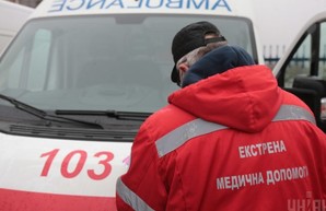 В Хмельницкой области тонны навоза насмерть засыпали мужчину и собаку