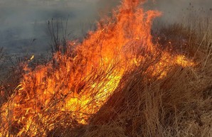 По законам военного времени: как в Полтавской области поступили с поджигателями травы