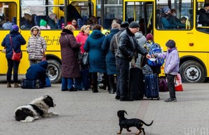 Кто из украинцев может считаться вынужденным переселенцем: разъяснения Минсоцполитики