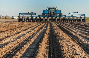 В Украине начался посев яровых зерновых культур в 21 области