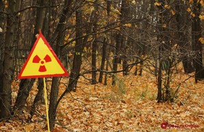 Оккупанты почти месяц вдыхали радиационную пыль в Рыжем лесу Чернобыльской зоны