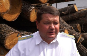 Харьковская тероборона попросила помочь в распиле 10 тысяч кубометров леса