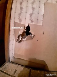 В Харькове от обстрелов погибли 3 человека, 21 ранен