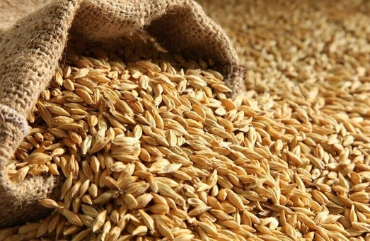 Россия украла в Украине несколько сотен тысяч тонн зерна