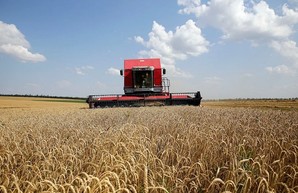Цены на основные продукты растут, украинцам пшеницы хватит, другим – нет. Последствия войны в Украине
