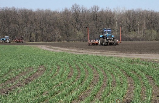 В Украине в условиях войны аграрии засеяли 8,6 млн га различными сельхозкультурами, - Шмыгаль
