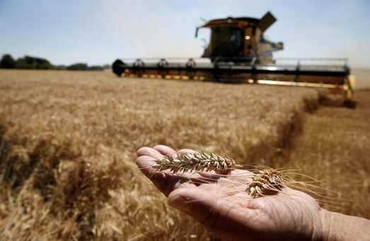 РФ украла в Украине зерна на 40 миллионов долларов и продала Сирии