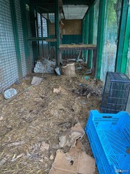В Ровно рассказали, как эвакуировали животных из харьковского экопарка (ВИДЕО, ФОТО)